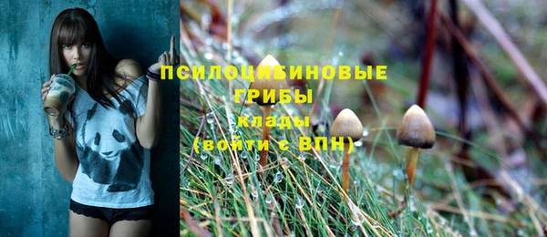 тгк Приозерск