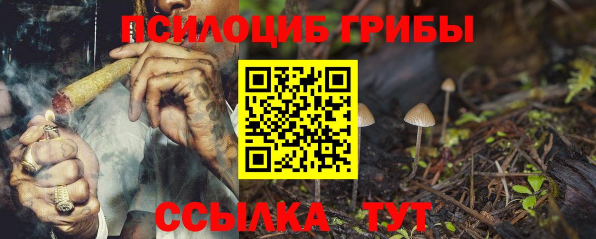 Галлюциногенные грибы мухоморы  Галлюциногенные грибы GOLDEN TEACHER  закладки  Вход с VPN  Астрахань 